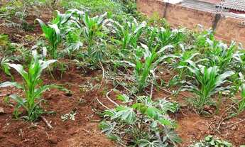 Imagem 4: Terreno à venda, 300 m² por R$ 128.000,00 - Residencial Flor do Cerrado - Anápolis/GO