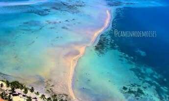 Imagem 4: Alugo casa com piscina em Maragogi