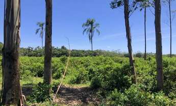 Imagem 5: Área a venda com 825 mil m² em Garuva