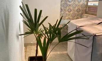 Imagem 6: Aluga-se kitnet Kitnet com 1 dormitório