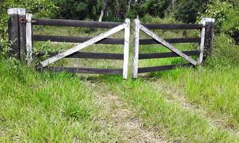 Imagem: 123. Fazendo no Município de Aquidauana/MS