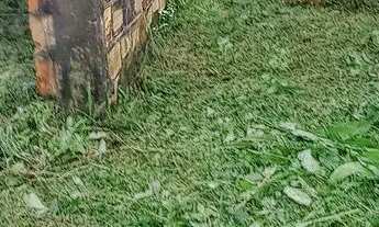 Imagem 6: Vendo terreno 7x21 no Loteamento Boa Viagem