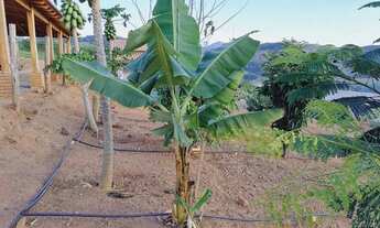 Imagem 7: Linda casa mobiliada em área rural Andradas