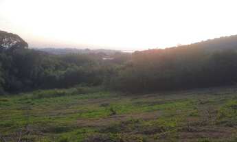 Imagem 6: Vendo Terreno 7000 m²