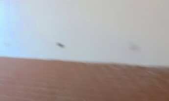 Imagem 7: Ótimo ponto comercial em Cavaleiro