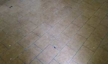 Imagem 7: Aluga-se Casa 02 Dorms ** Bairro Cecap *