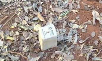 Imagem 7: 056. Chácara em Jaraguari Dupla Aptidão