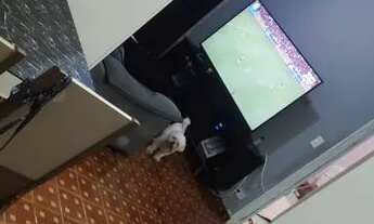 Imagem 3: Alugo apartamento no Saboo ( Santos