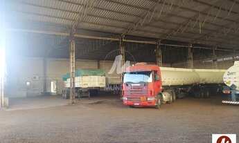 Imagem 6: Salão/Galpão (salão - térreo