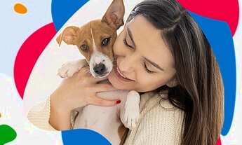 Imagem 6: Kitnet/conjugado sem condominio melhor custo beneficio de Goiania - Goiânia - GO