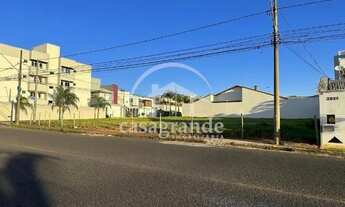 Imagem 5: Aluguel Área SANTA MONICA