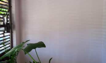 Imagem 4: VENDO CASA Vila Redenção - Rua 1083