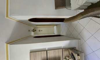 Imagem 2: Eucalipto/ ponto novo