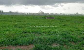 Imagem: Excelente Fazenda no Muni.de Cuiabá