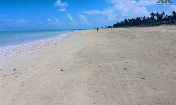Imagem 3: Área Comercial de Praia na - Barra de Santo Antônio