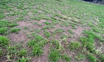 Imagem: Ótimo terreno em araçoiaba da serra vendo