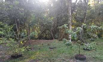 Imagem 1: Sitio Rio das Pedras - Alexandra