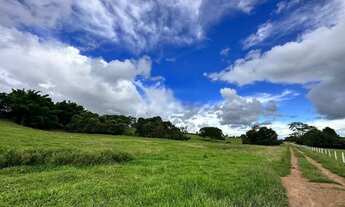 Imagem 5: Fazenda à venda 240 alqueires em Marzagão-Go