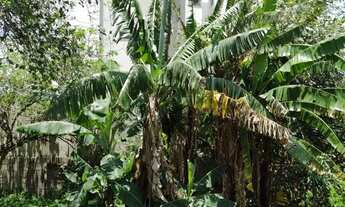 Imagem 7: Terreno - Jardim Marister - Jacareí - 324m²