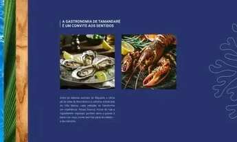 Imagem 3: PARIA DE CAMPAS EM TAMANDARÉ - Flat17 m² beira mar num trecho de praia paradisíaco