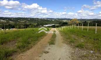 Imagem 6: Residencial Lote/Terreno em