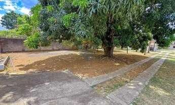 Imagem 3: Chácara na Ceilândia - 5000m2 com asfalto até a porta - Oportunidade!