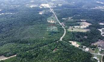 Imagem 3: Terreno Comercial em Tarumã: Oportunidade Única!