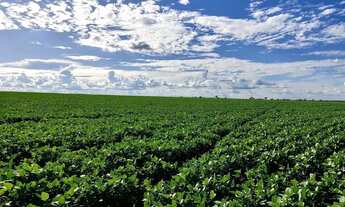 Imagem 7: Fazenda a venda - Nazário - GO