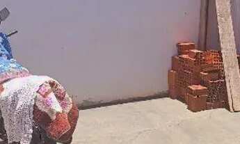 Imagem 4: Casa para alugar