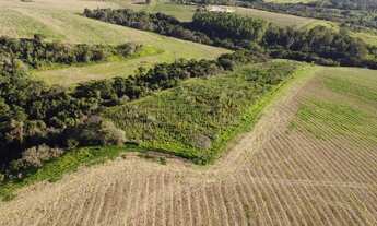 Imagem 4: Terreno rural 5 ha em Candeias/Cristais/Campo Belo