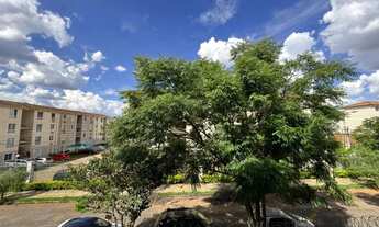 Imagem 4: Apartamento em Moinho dos Ventos - Goiânia