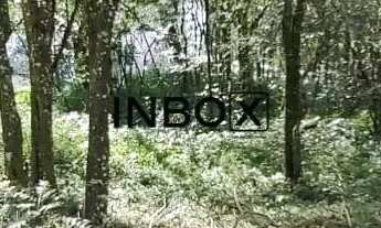 Imagem 3: TERRENO NO BAIRRO BORGO EM BENTO GONÇALVES