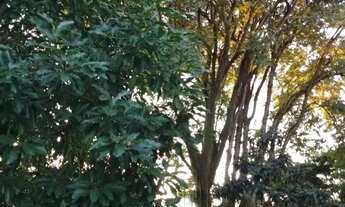 Imagem 3: Apartamento com 2 dormitórios à venda, 53 m² por R$ 140.000,00 - São Miguel - São Leopoldo