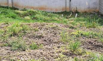Imagem 8: Terreno - Parque Rural Fazenda Santa Cândida - Campinas