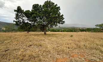 Imagem 4: Chácara de 24 hectares