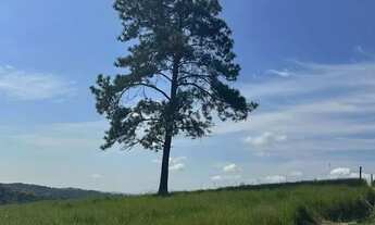 Imagem 7: Lote baratíssimo com doc regular e fácil acesso