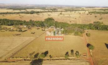 Imagem: Chácara 1.5 Alqueires (7.26 Hectares) Piracanjuba