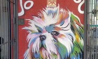 Imagem 4: COMERCIAL - VILA BUTANTÃ - SP