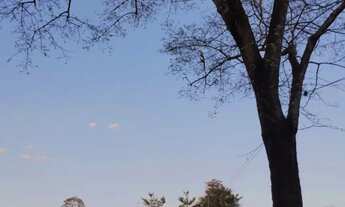 Imagem 4: Vende-se chácara de 9.800mts em Vianopolis