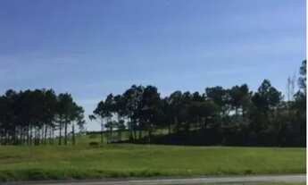 Imagem 2: Área para venda e locação/ 10.900 m²/ Poço artesiano/ Rod. Castello Branco