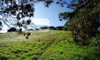 Imagem 2: Fazenda Pecuária para Venda em Centro Socorro-SP - SI0030