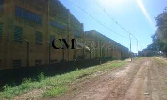 Imagem 7: LONDRINA - Terreno Padrão - Cilo II