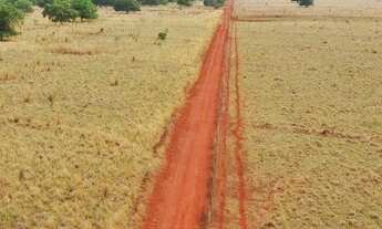 Imagem 2: Fazenda Dupla Aptidão 197 Alqueires. Tocantins