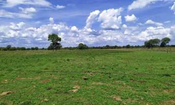 Imagem 6: Fazenda em Monte do Carmo