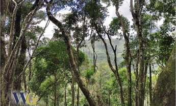 Imagem: Chácara para Venda em Campo Largo, Estrada