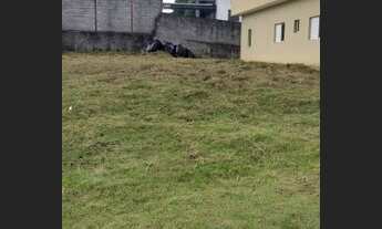 Imagem 2: Oportunidade Única c/ Proprietário - Terreno Plano 360m² - Centro - Vargem Grande Pta