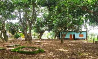 Imagem: BAIXEI PARA VENDER - Chácara no loteamento