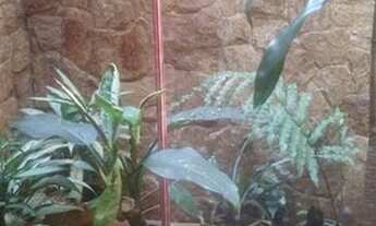 Imagem 16: Sobrado, 300 m² - venda por R$ 1.200.000,00 ou aluguel por R$ 4.537,00/mês - Vila Camilópo