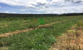 Imagem 2: Sítio em Hidrolândia-GO