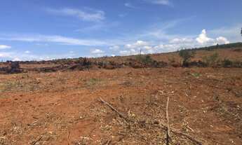 Imagem 4: Area para Silos Fazenda / sítio com venda por R$1.950.000